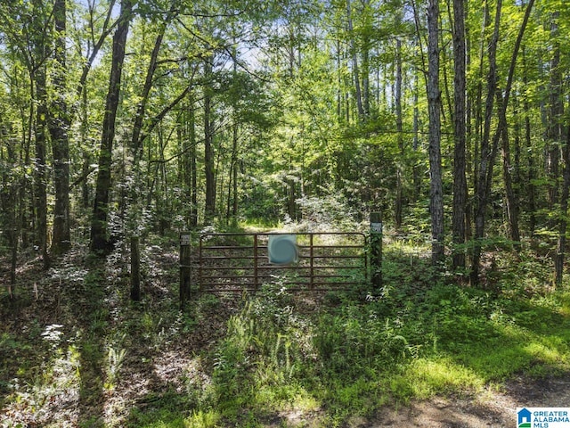00 Berney Station Rd Unit 0, Talladega, AL 35160