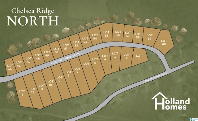000010 Chelsea Ridge Trl, Columbiana, AL 35051 - map / location
