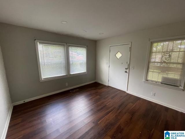 1637 17th St SW, Birmingham, AL 35211 - foyer entrance featuring plenty of natural light and dark wood-type flooring