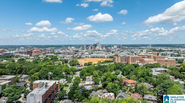 1300 27th Pl Unit 65, Birmingham, AL 35205 - view of urban area