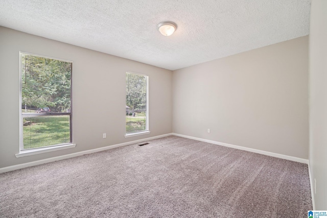 5919 Creekwood Rd, Irondale, AL 35210 - unfurnished room featuring healthy amount of natural light, carpet flooring, and a textured ceiling