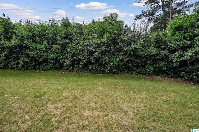 3764 Valley Head Rd, Mountain Brook, AL 35223 - view of grassy yard