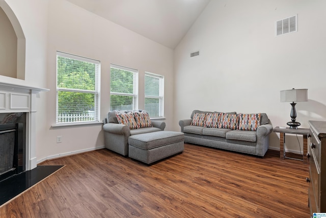 394 Glen Cross Way, Trussville, AL 35173 - living room featuring a fireplace, wood finished floors, and high vaulted ceiling