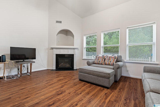 394 Glen Cross Way, Trussville, AL 35173 - living area featuring wood finished floors, healthy amount of natural light, high vaulted ceiling, and a fireplace with flush hearth