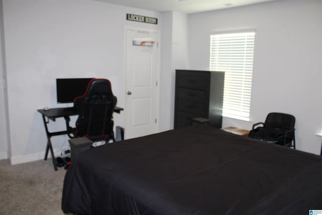 6284 Fieldbrook Cir, Mccalla, AL 35111 - bedroom featuring carpet floors and baseboards