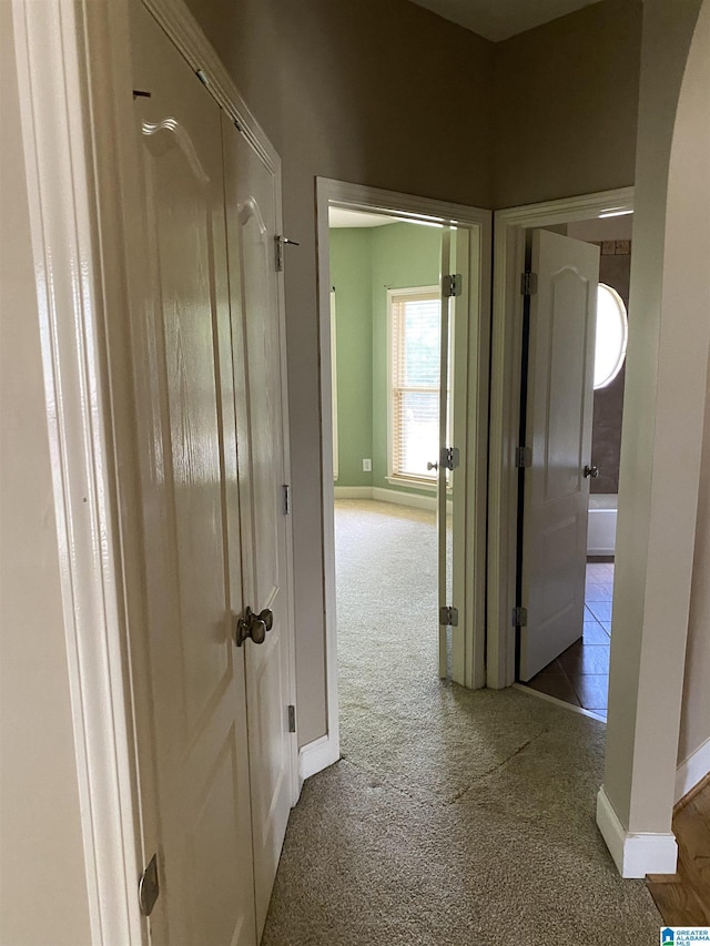 22917 Country Ridge Parkway, Mccalla, AL 35111 - hallway with carpet flooring and baseboards
