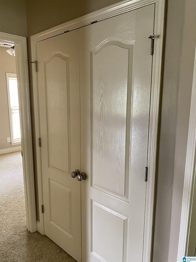 22917 Country Ridge Parkway, Mccalla, AL 35111 - detailed view of carpet floors