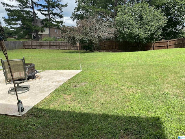 22917 Country Ridge Parkway, Mccalla, AL 35111 - fenced backyard with a patio area