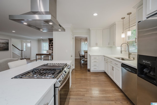 110 Pine Cliff Cir, Hoover, AL 35226 - kitchen with wall chimney exhaust hood, appliances with stainless steel finishes, crown molding, light wood finished floors, and white cabinetry