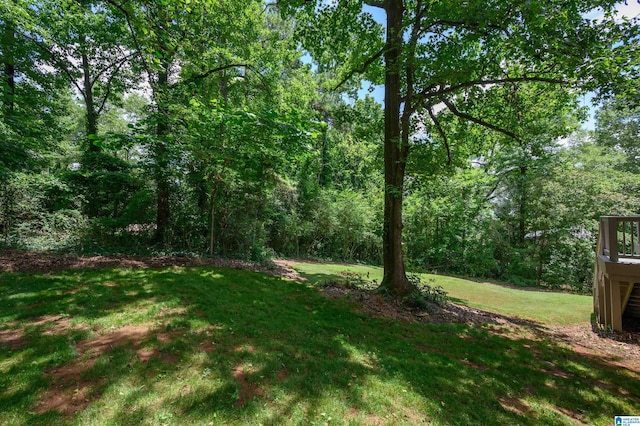 110 Pine Cliff Cir, Hoover, AL 35226 - view of grassy yard