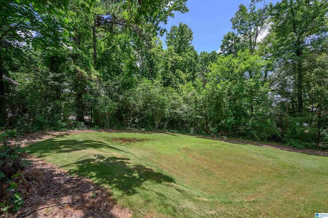 110 Pine Cliff Cir, Hoover, AL 35226 - view of grassy yard