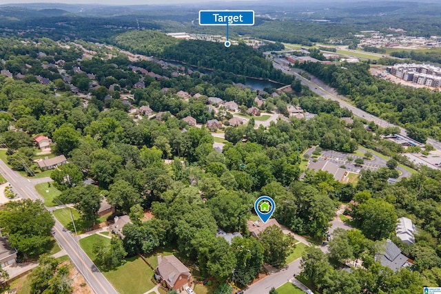 110 Pine Cliff Cir, Hoover, AL 35226 - bird's eye view