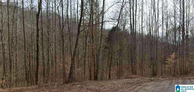 00 Heritage Creek Dr Unit 15, Springville, AL 35146