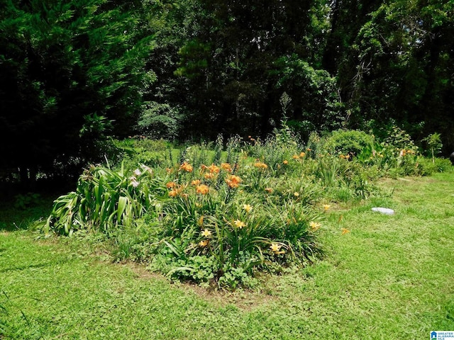 16145 US Highway 11, Springville, AL 35146 - view of yard
