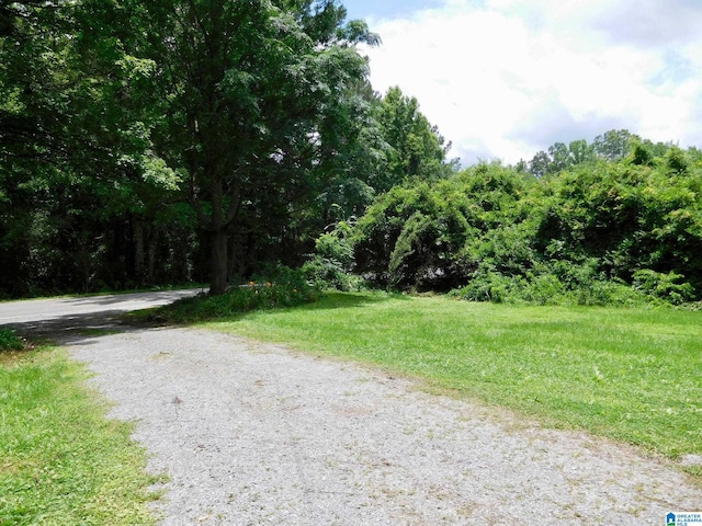 16145 US Highway 11, Springville, AL 35146 - view of road