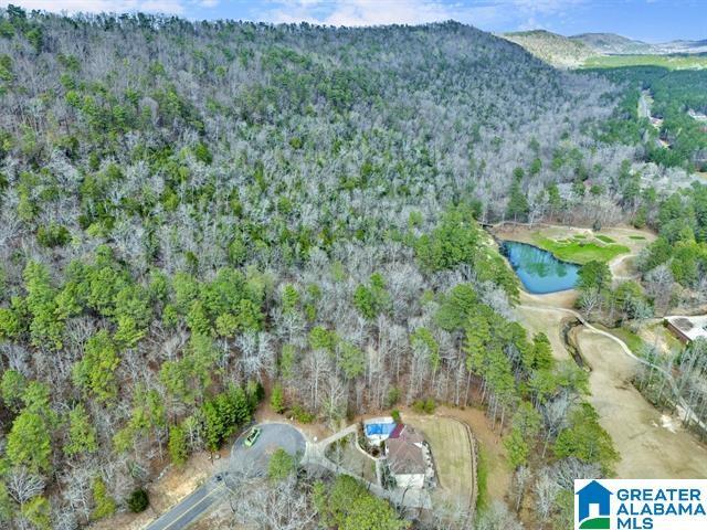 0 Bellerive Cir Unit 1, Oneonta, AL 35121