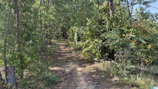 0 Sims St Unit 0, Talladega, AL 35160
