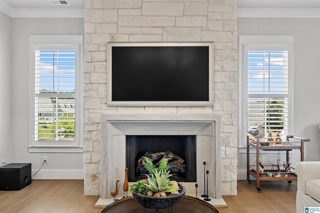 544 Preserve Way, Hoover, AL 35226 - detailed view of a fireplace and wood finished floors