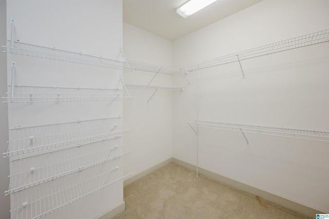 932 Cove Cir, Hoover, AL 35244 - spacious closet featuring carpet flooring