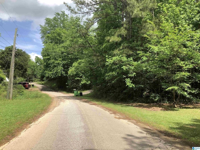 1146 Oakridge Dr, Leeds, AL 35094 - view of asphalt street