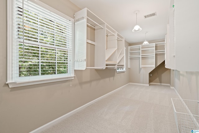 4737 Cloud Ln, Birmingham, AL 35243 - walk in closet with carpet floors
