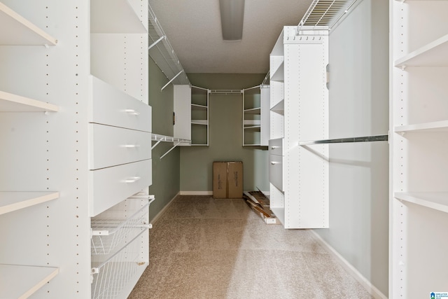 4737 Cloud Ln, Birmingham, AL 35243 - walk in closet with carpet floors