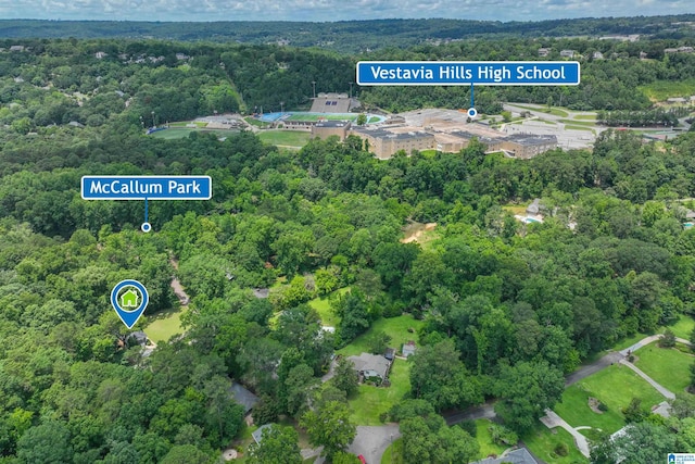 3350 Rosemary Ln, Vestavia Hills, AL 35216 - view of property location featuring a heavily wooded area