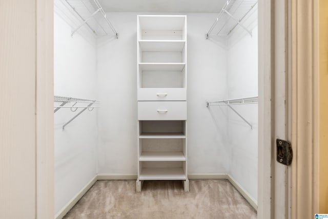 1812 Cross Cir, Hoover, AL 35244 - walk in closet featuring carpet