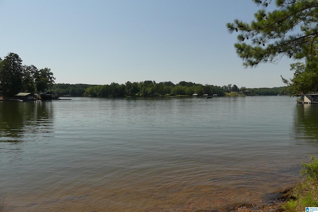 LOT5/5A Warren Rd Unit 5/5A, Wedowee, AL 36278