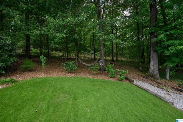 4208 Waterford Ln, Trussville, AL 35173 - view of green lawn
