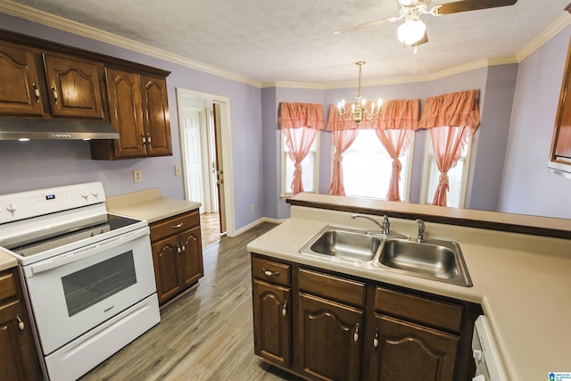 1534 Cambridge Pl, Anniston, AL 36207 - kitchen with white range with electric cooktop, under cabinet range hood, light countertops, a chandelier, and ornamental molding