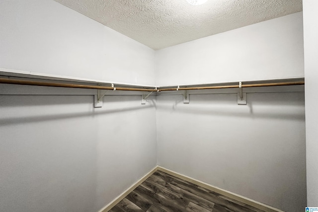 1534 Cambridge Pl, Anniston, AL 36207 - walk in closet with dark wood-style flooring