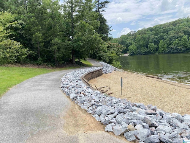 475 River Forest Ln Unit 2440, Talladega, AL 35160 - water view with a forest
