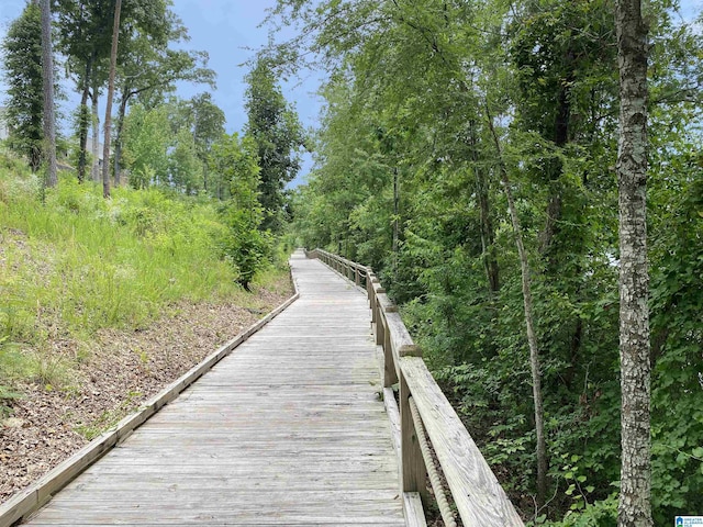 475 River Forest Ln Unit 2440, Talladega, AL 35160 - surrounding community with a view of trees