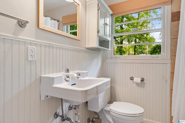 4317 Warren Rd, Birmingham, AL 35213 - full bathroom with toilet and a wainscoted wall