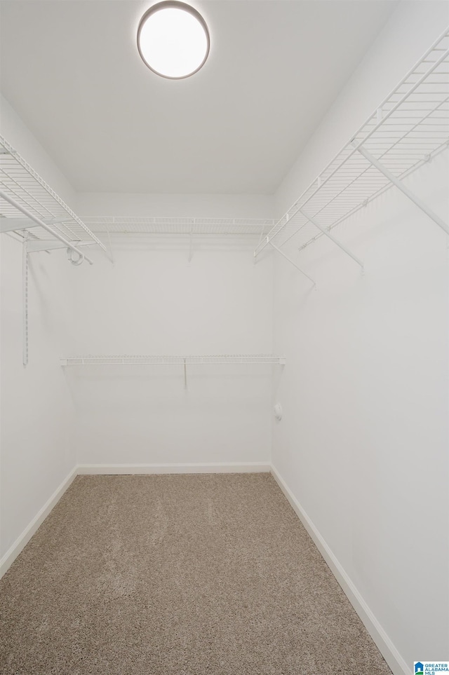 4022 Cambridge Dr, Moody, AL 35004 - walk in closet with light carpet