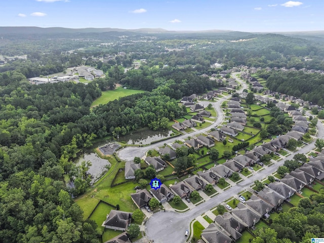 4114 Jubilee Ln, Moody, AL 35004 - aerial overview of property's location with a forest