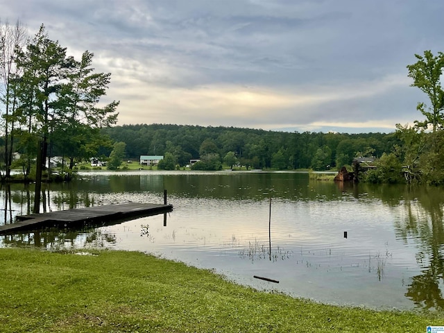 11201 Woodland Dr, Mccalla, AL 35111 - dock area with a wooded view and a water view