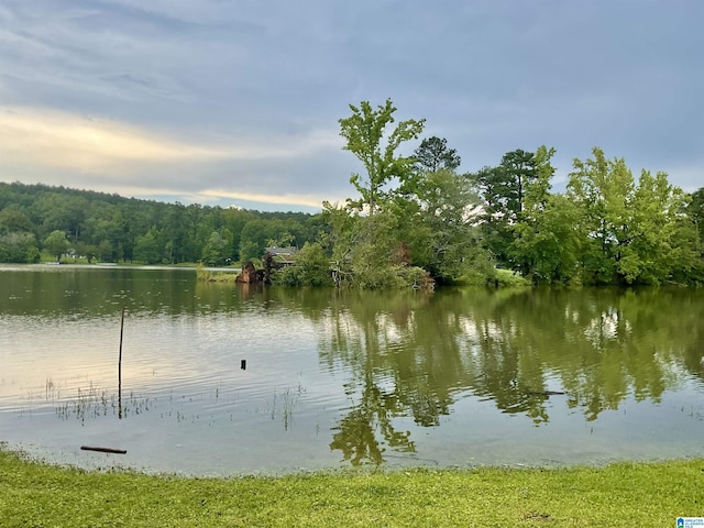 11201 Woodland Dr, Mccalla, AL 35111 - water view featuring a forest