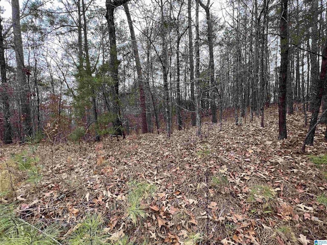 0 Mountain View Ln Unit 35, Mccalla, AL 35111
