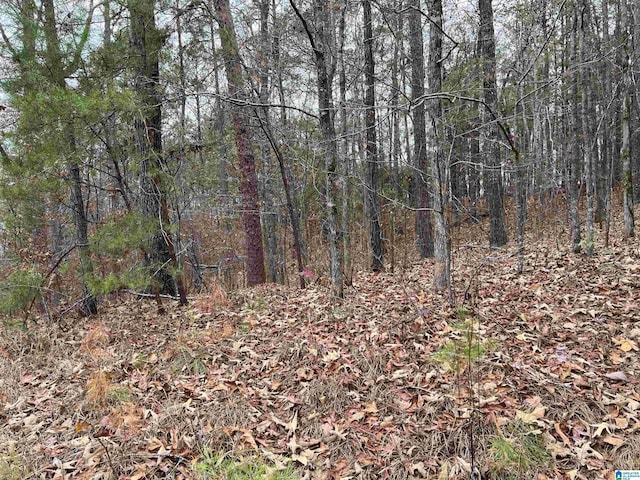 0 Mountain View Ln Unit 35, Mccalla, AL 35111