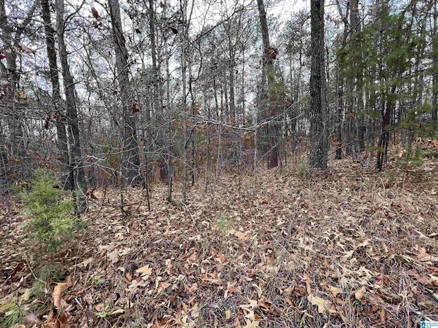 0 Mountain View Ln Unit 35, Mccalla, AL 35111