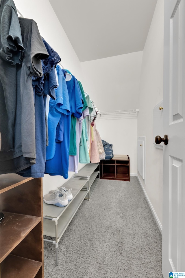 5012 Lake Crest Cir, Hoover, AL 35226 - walk in closet with carpet