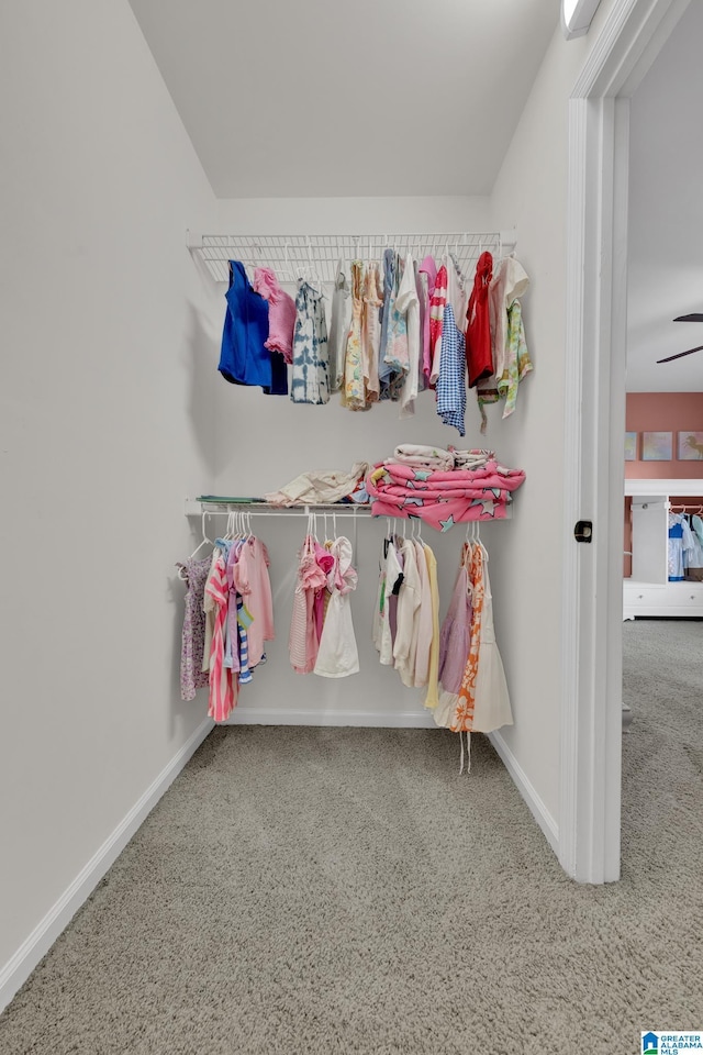 5012 Lake Crest Cir, Hoover, AL 35226 - walk in closet featuring carpet flooring