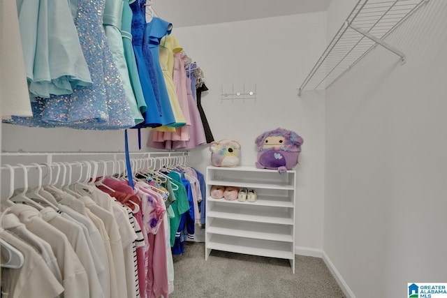 5012 Lake Crest Cir, Hoover, AL 35226 - walk in closet with carpet