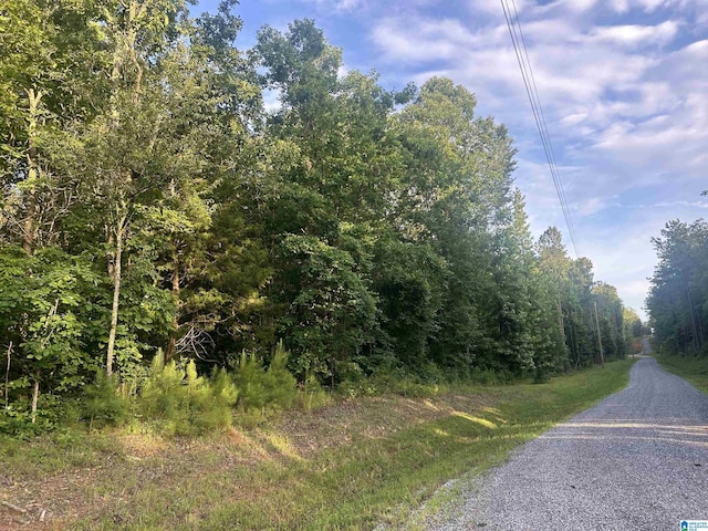 0 Summerset Ln None, Unit None, Munford, AL 36268