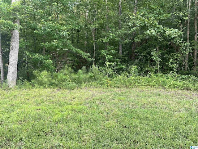 0 Summerset Ln None, Unit None, Munford, AL 36268