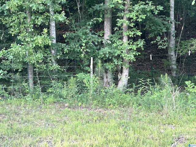 0 Summerset Ln None, Unit None, Munford, AL 36268