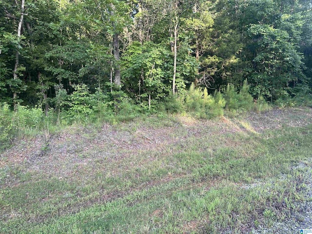 0 Summerset Ln None, Unit None, Munford, AL 36268