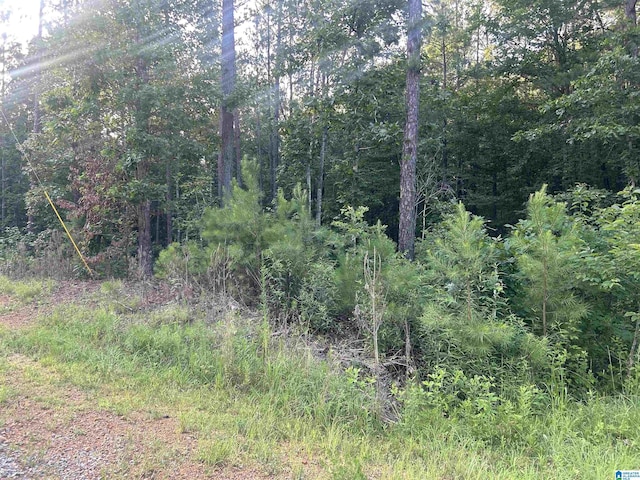 0 Summerset Ln None, Unit None, Munford, AL 36268